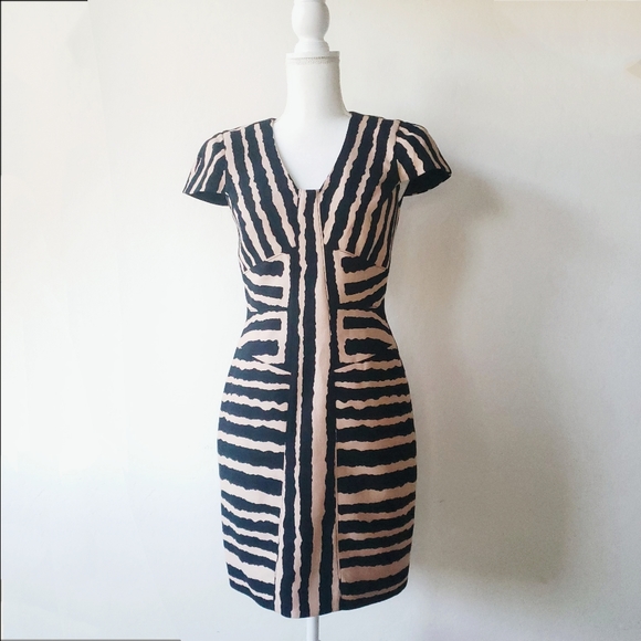 4.Collective Zebra Sheath Dress Anthropologie - Picture 1 of 8